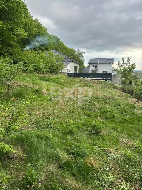 TEREN PREMIUM CU VEDERE SPECTACULOASA LA LIZIERA PADURII | BASCOV | 807 MP | - foto 3