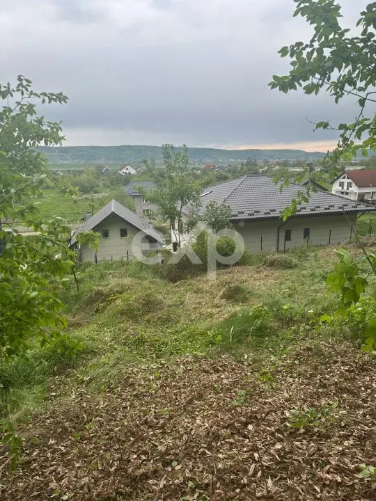 TEREN PREMIUM CU VEDERE SPECTACULOASA LA LIZIERA PADURII | BASCOV | 807 MP | - foto 5