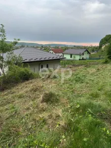 TEREN PREMIUM CU VEDERE SPECTACULOASA LA LIZIERA PADURII | BASCOV | 807 MP | - foto 6