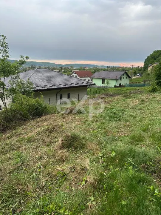 TEREN PREMIUM CU VEDERE SPECTACULOASA LA LIZIERA PADURII | BASCOV | 807 MP | - foto 6