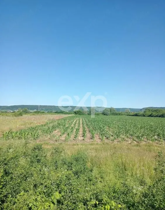 Teren 3.000 mp, zonă industrială Mioveni - Colibas – acces facil - foto 2
