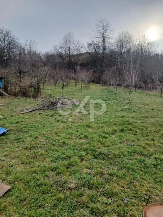 Teren de vânzare – Dragodănești , 1.600 mp - foto 3