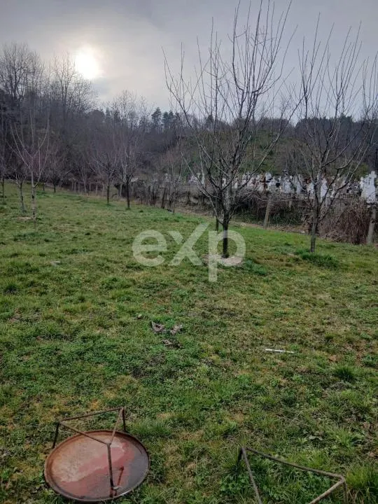 Teren de vânzare – Dragodănești , 1.600 mp - foto 5