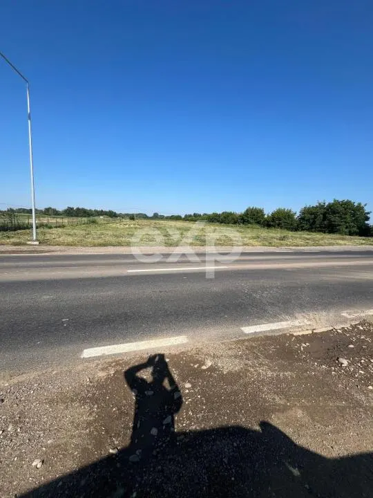 Teren intravilan premium 15.000 mp la DN61 lângă Centura Găești acces rapid A1 - foto 2
