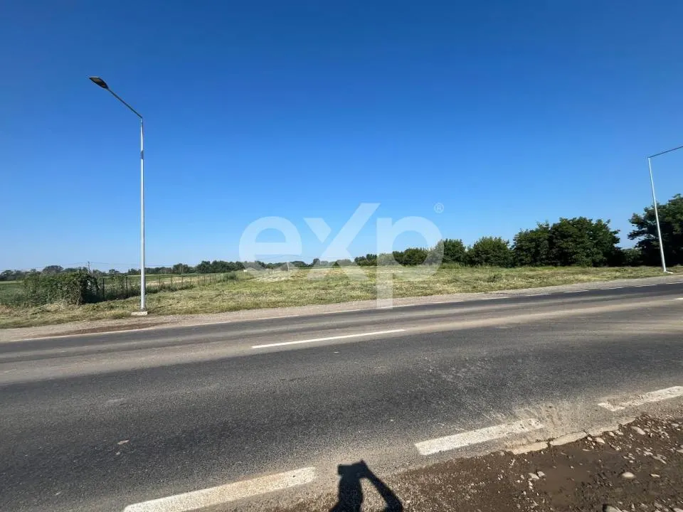 Teren intravilan premium 15.000 mp la DN61 lângă Centura Găești acces rapid A1 - foto 4