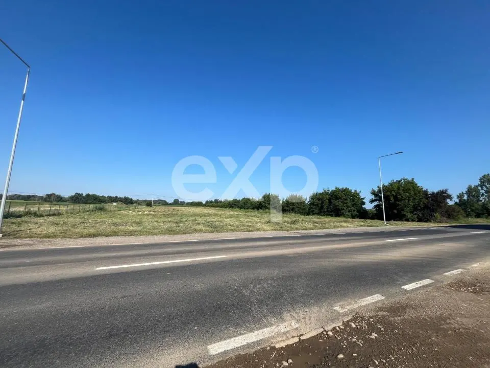 Teren intravilan premium 15.000 mp la DN61 lângă Centura Găești acces rapid A1 - foto 6