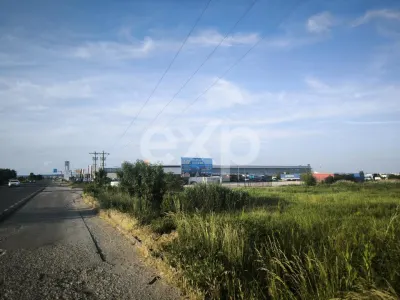 Teren intravilan 11.600 mp | Front 115 ml | Zona Europa – Albota lângă Mercedes - Pitesti