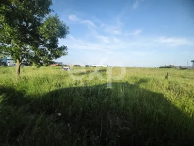 Teren intravilan 11.600 mp | Front 115 ml | Zona Europa – Albota lângă Mercedes - foto 4