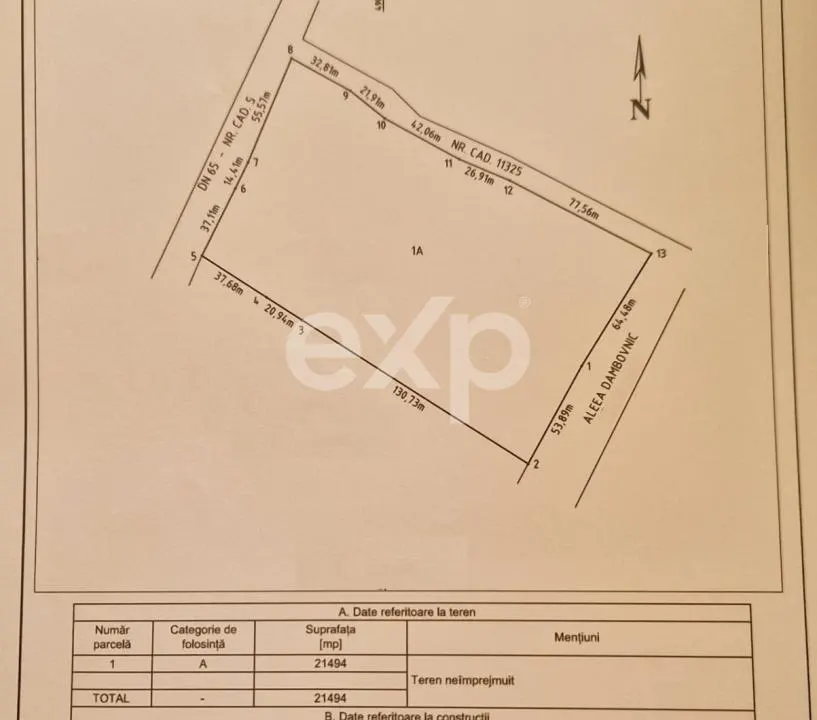 Teren intravilan 11.600 mp | Front 115 ml | Zona Europa – Albota lângă Mercedes - foto 6