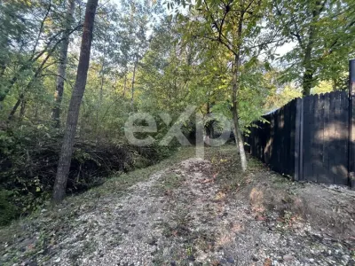 Casă P+M cu vedere spre pădure și teren de 866 mp in Magura Hulubesti - foto 35