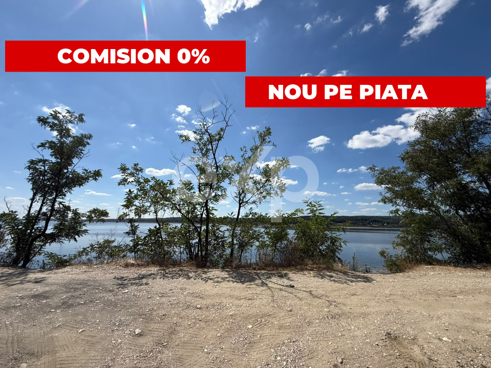 Teren 14.000 mp în Budeasa cu vedere superbă către baraj - Budeasa