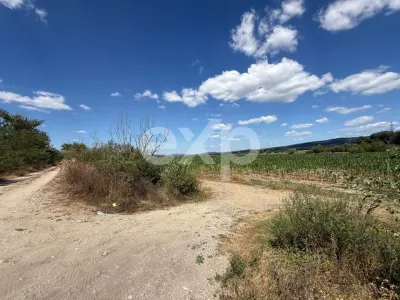 Teren 14.000 mp în Budeasa cu vedere superbă către baraj - foto 2