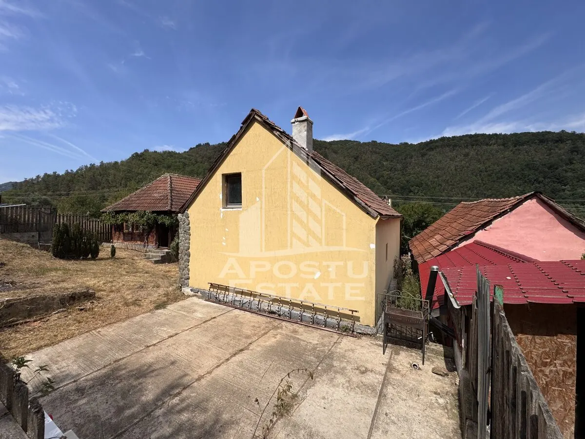 Casa batraneasca, renovata complet, teren 640mp, in Dabaca, Hunedoara - foto 14