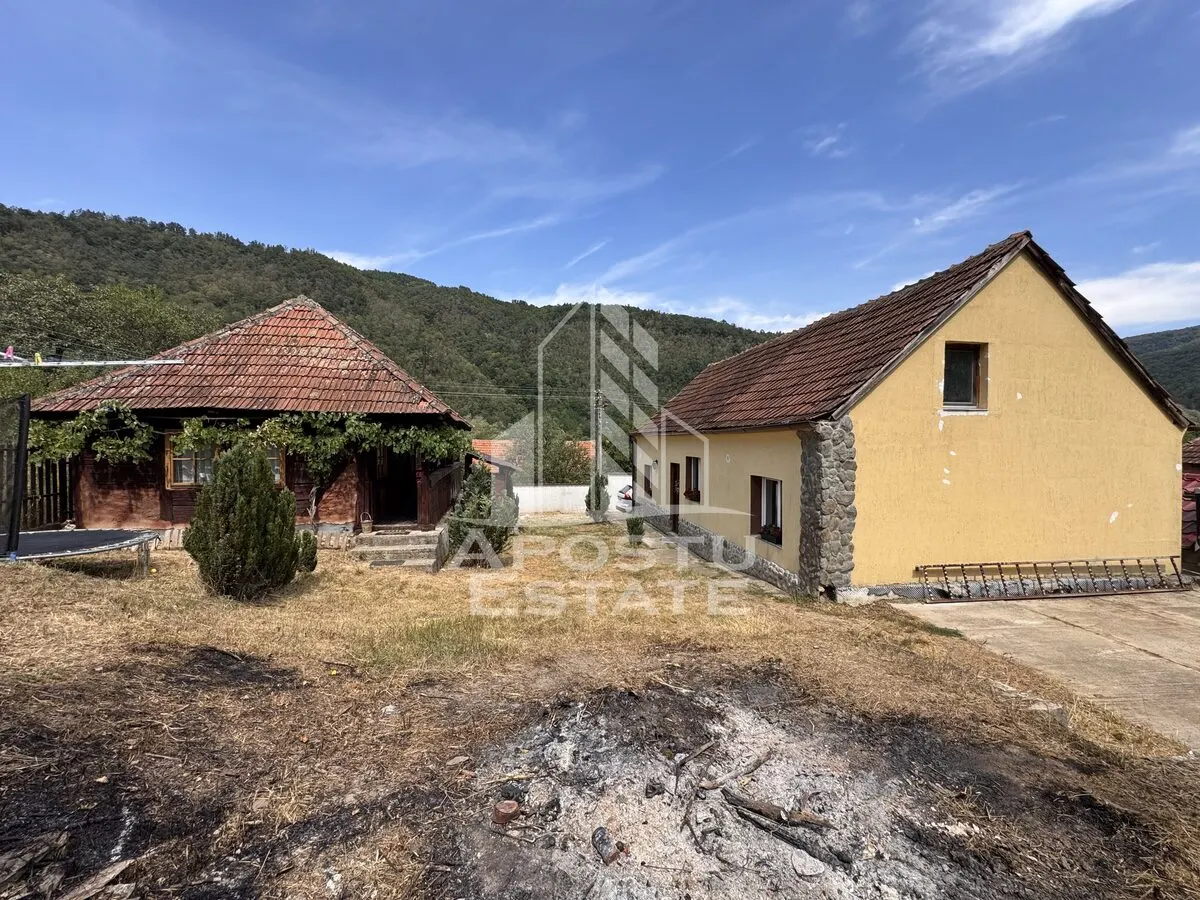 Casa batraneasca, renovata complet, teren 640mp, in Dabaca, Hunedoara - foto 4
