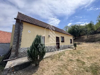 Casa batraneasca, renovata complet, teren 640mp, in Dabaca, Hunedoara - foto 5