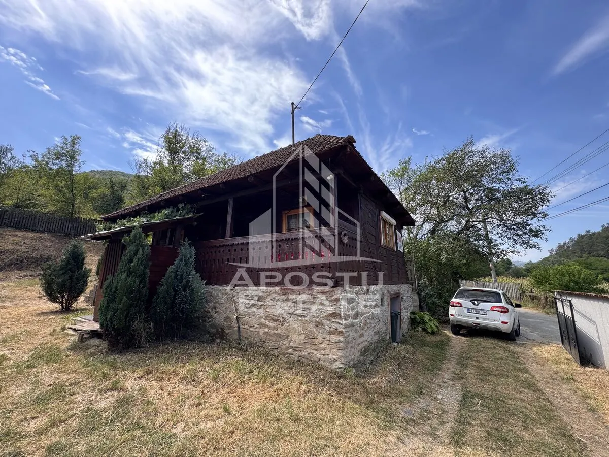 Casa batraneasca, renovata complet, teren 640mp, in Dabaca, Hunedoara - foto 8