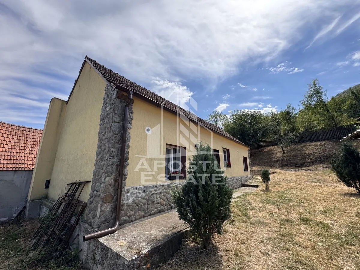 Casa batraneasca, renovata complet, teren 640mp, in Dabaca, Hunedoara - foto 10