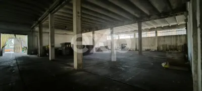 Imobil industrial, logistic si administrativ de vanzare – Giurgiu - foto 6
