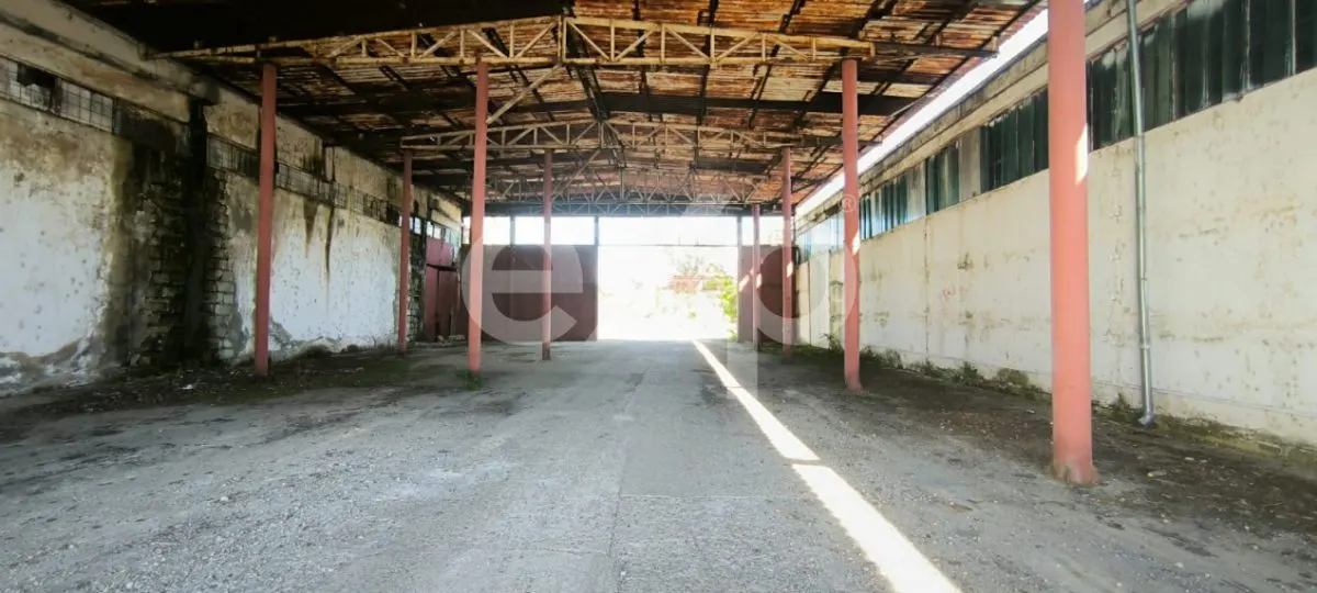 GIURGIU | Hala 5.000 mp | Acces TIR | Parcare TIR | Inaltime 7m - foto 10