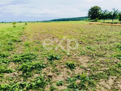 Casă tradițională cu 2029 MP, livadă, puț propriu - foto 10