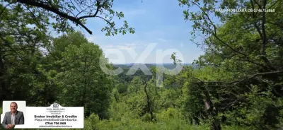 OPORTUNITATE INVESTIȚIE TURISTICĂ | Panoramă de Vis &amp; Potențial Imens A-Frame - Rau Alb de Jos