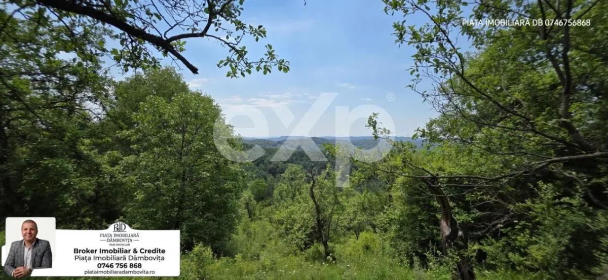 OPORTUNITATE INVESTIȚIE TURISTICĂ | Panoramă de Vis &amp; Potențial Imens A-Frame - foto 1