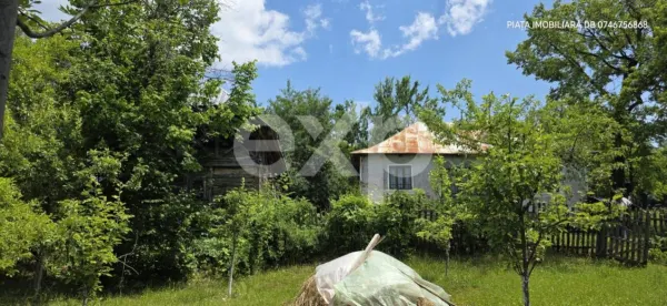 Casă 5 camere Rau Alb de Jos - poza 4