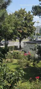 Apartament 2 Camere – Etaj 1, Vedere spre Bulevard | Zona Aleea Trandafirilor - foto 5
