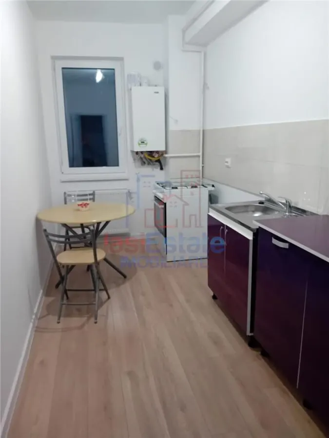 Hlincea Apartament cu 1 camera intabulat - terasa mare - foto 3