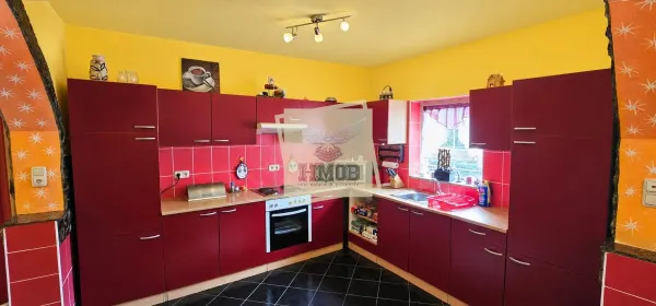 Casă 6 camere Saliste - poza 3
