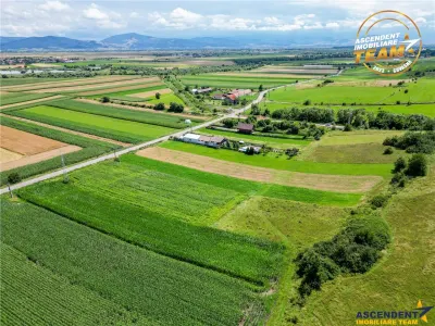 Oportunitate de investitie, PUZ aprobat: zona servicii - foto 6