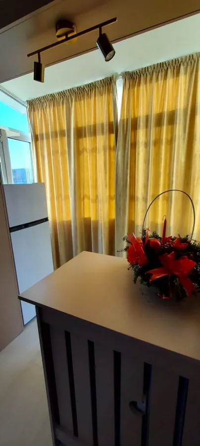 Exclusivitate! Ap. 2 camere, Tatarasi-Piata Chirila, Renovat complet - foto 9