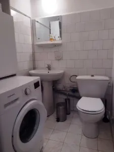 Apartament cu 3 camere decomandat  Racadau, mobilat, parcare si boxa - foto 8