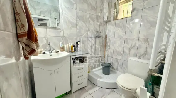 Casă 7 camere Timișoara - poza 9