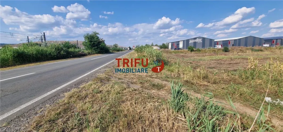 Teren intravilan 5.756 mp cu acces direct la Șoseaua de Centură â€“ Alba Iulia, zonă industrială - foto 1