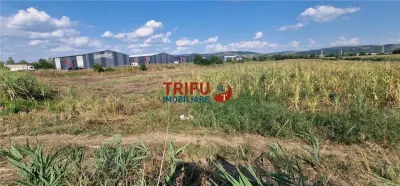 Teren intravilan 5.756 mp cu acces direct la Șoseaua de Centură â€“ Alba Iulia, zonă industrială - foto 4