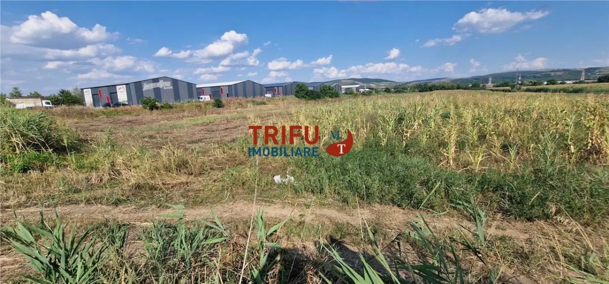 Teren intravilan 5.756 mp cu acces direct la Șoseaua de Centură â€“ Alba Iulia, zonă industrială - foto 4