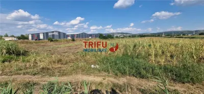 Teren intravilan 5.756 mp cu acces direct la Șoseaua de Centură â€“ Alba Iulia, zonă industrială - foto 5