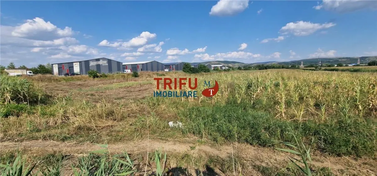 Teren intravilan 5.756 mp cu acces direct la Șoseaua de Centură â€“ Alba Iulia, zonă industrială - foto 5