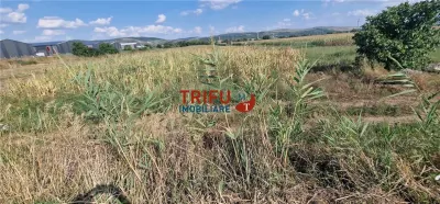 Teren intravilan 5.756 mp cu acces direct la Șoseaua de Centură â€“ Alba Iulia, zonă industrială - foto 6