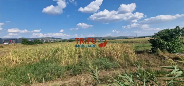 Teren Alba Iulia - poza 7