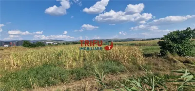 Teren intravilan 5.756 mp cu acces direct la Șoseaua de Centură â€“ Alba Iulia, zonă industrială - foto 7