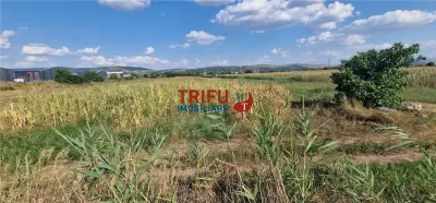 Teren intravilan 5.756 mp cu acces direct la Șoseaua de Centură â€“ Alba Iulia, zonă industrială - foto 8