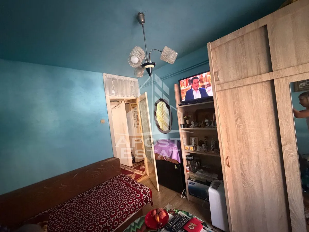Apartament cu 3 camere de vanzare,decomandat , Zona Lipovei,Timisoara - foto 6