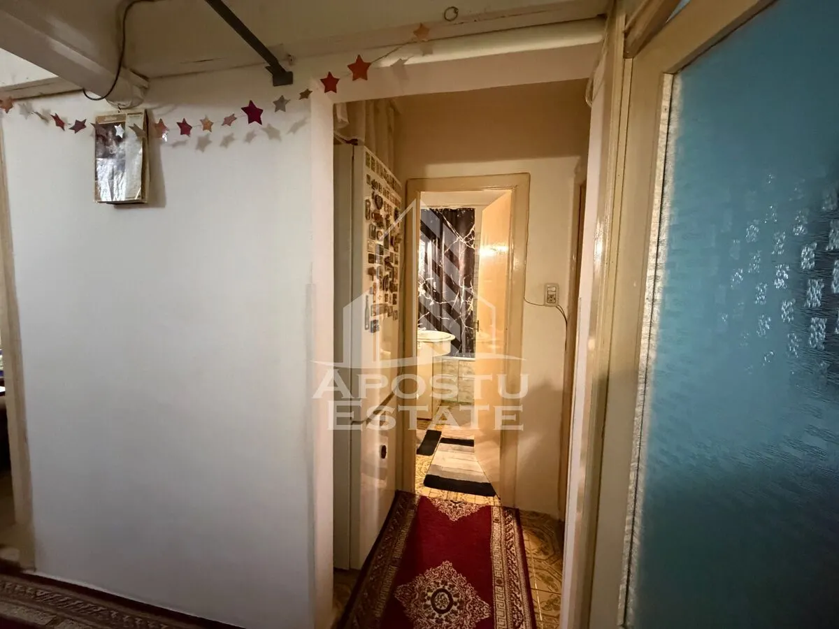 Apartament cu 3 camere de vanzare,decomandat , Zona Lipovei,Timisoara - foto 9