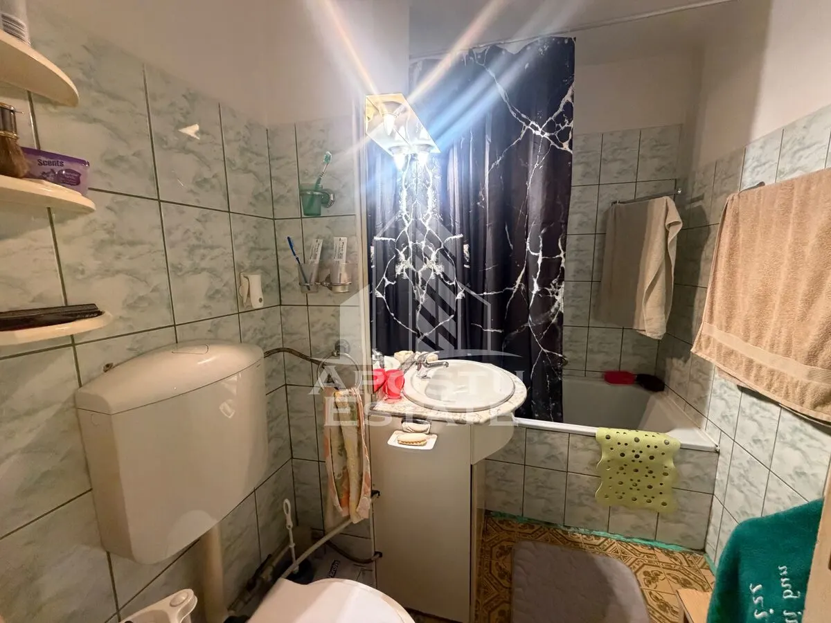 Apartament cu 3 camere de vanzare,decomandat , Zona Lipovei,Timisoara - foto 10