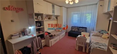 Apartament 2 camere de vanzare zona Cetate - foto 1