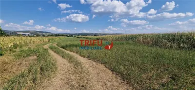Teren intravilan construibil de 5.900 mp, zonă industrială, Șoseaua de Centură â€“ Alba Iulia - foto 3