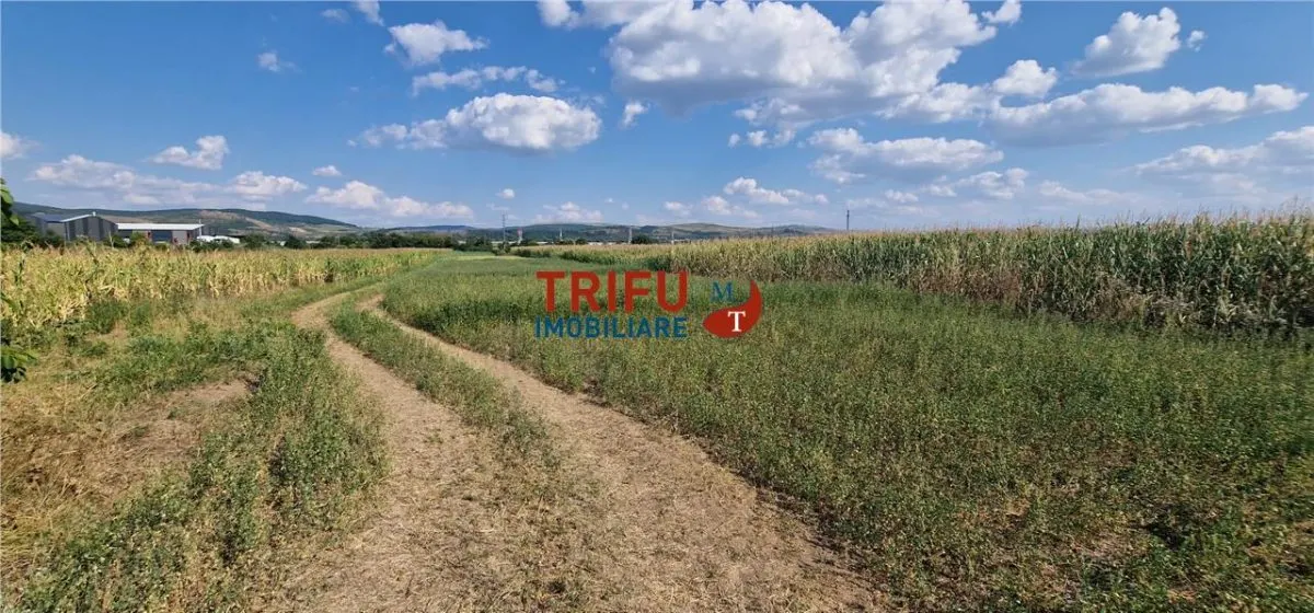 Teren intravilan construibil de 5.900 mp, zonă industrială, Șoseaua de Centură â€“ Alba Iulia - foto 3