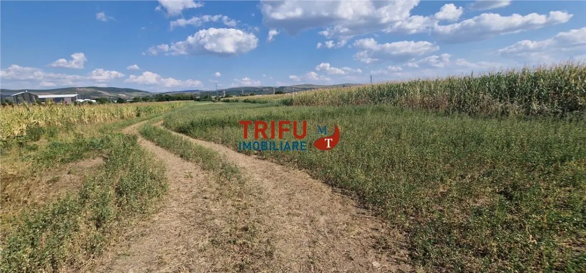 Teren intravilan construibil de 5.900 mp, zonă industrială, Șoseaua de Centură â€“ Alba Iulia - foto 4